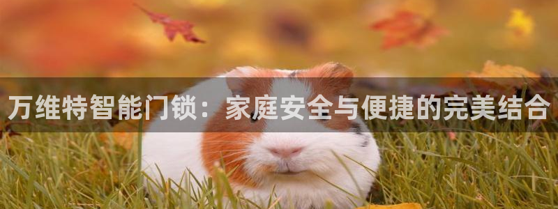香港利记集团官网招聘：万维特智能门锁：家庭安全与便捷的完美结