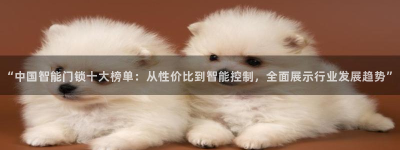 利记官网首页：“中国智能门锁十大榜单：从性价比到智能控制，全