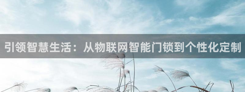 利记二手车行官网：引领智慧生活：从物联网智能门锁到个性化定制