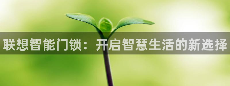 香港利记集团官网地址：联想智能门锁：开启智慧生活的新选择