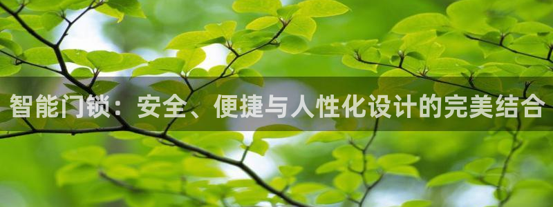 利记足球官网