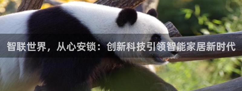利记官网平台入口：智联世界，从心安锁：创新科技引领智能家居新