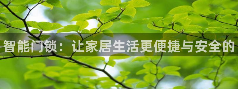铂利记旗舰店官网：智能门锁：让家居生活更便捷与安全的