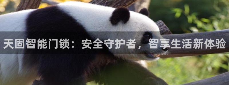 利记现场官网：天固智能门锁：安全守护者，智享生活新体验