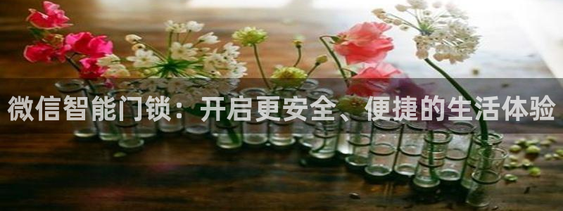 利记官网入口最新版：微信智能门锁：开启更安全、便捷的生活体验