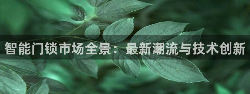 利记国际官网：智能门锁市场全景：最新潮流与技术创新