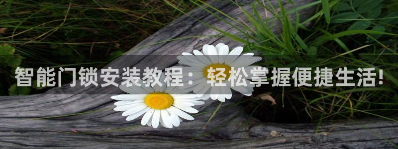 万利记加盟官网电话：智能门锁安装教程：轻松掌握便捷生活!