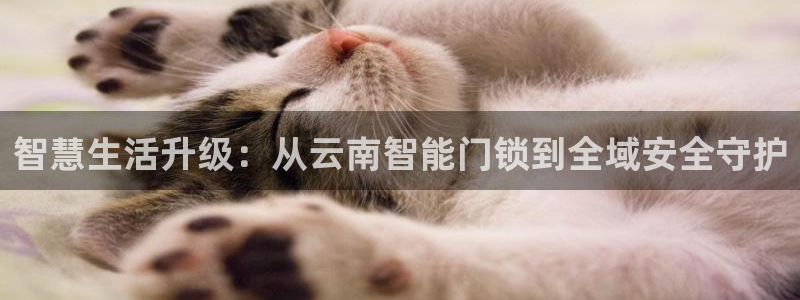 利记亚洲官网：智慧生活升级：从云南智能门锁到全域安全守护