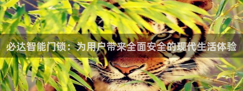 利记足球官网