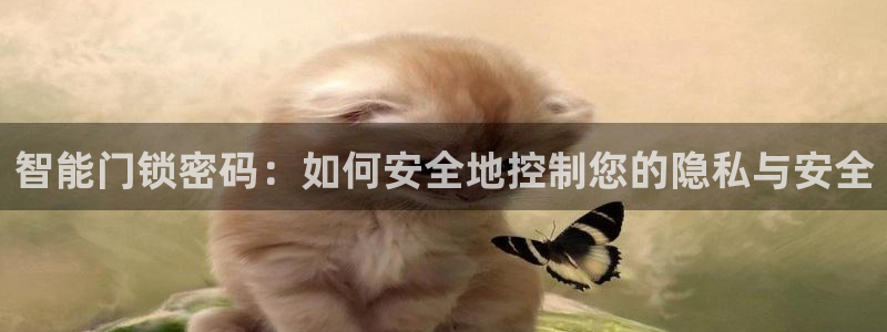 sbobet利记官网登录入口：智能门锁密码：如何安全地控制您