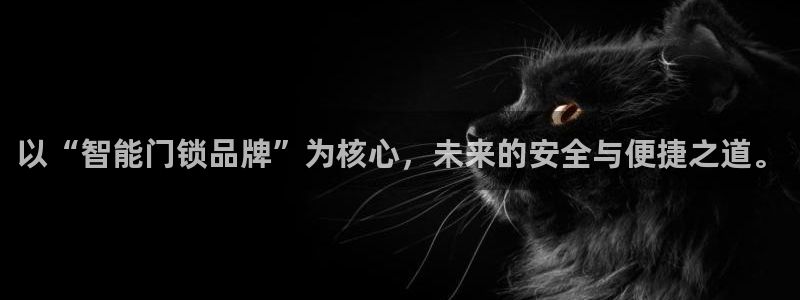 利记彩票官网wx678 com：以“智能门锁品牌”为核心，未