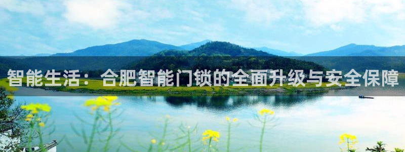 利记官网入口：智能生活：合肥智能门锁的全面升级与安全保障
