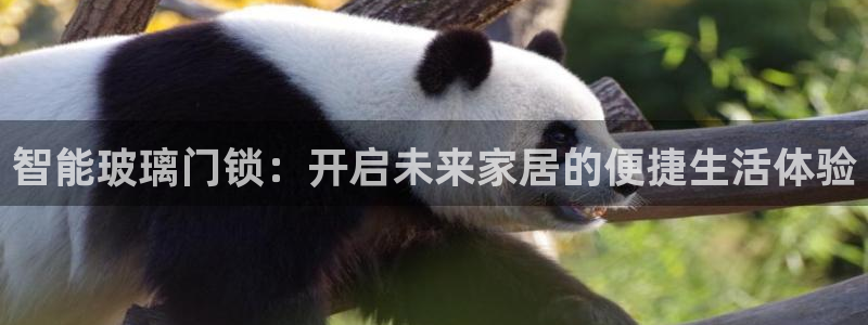 利记sbobet官网电脑版：智能玻璃门锁：开启未来家居的便捷