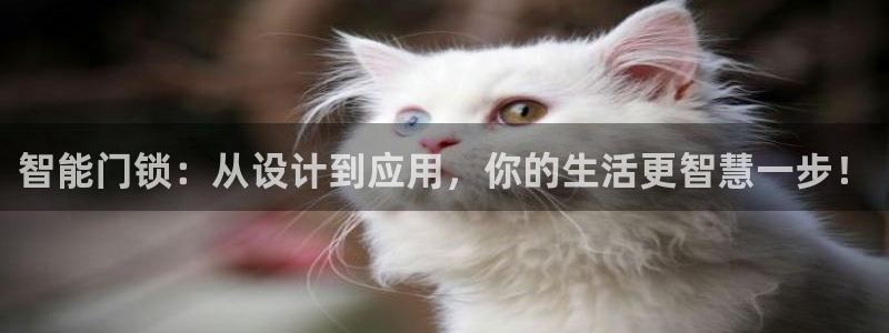 利记网官网