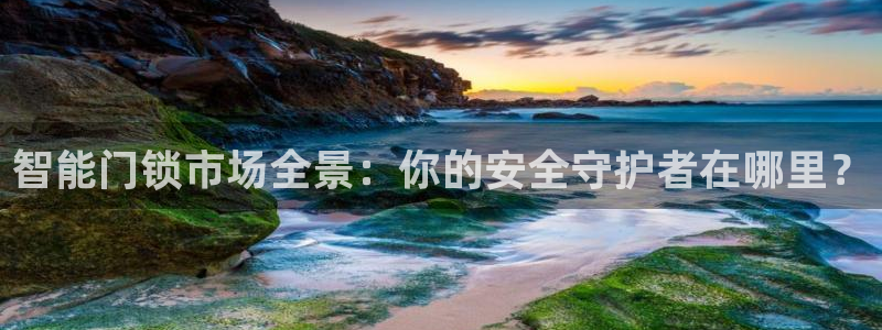 利记官网是什么：智能门锁市场全景：你的安全守护者在哪里？