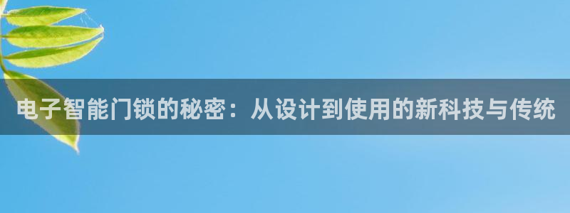 利记娱乐会员金钻官网：电子智能门锁的秘密：从设计到使用的新科