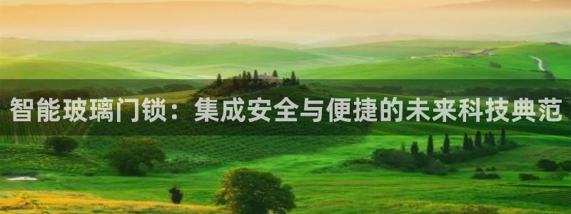万利记官网电话：智能玻璃门锁：集成安全与便捷的未来科技典范