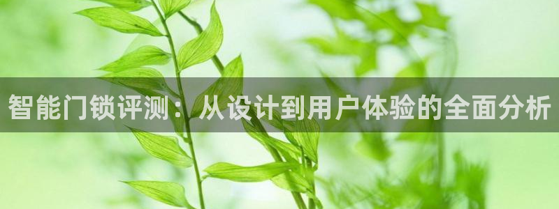 利记彩票官网网址官网hd71：智能门锁评测：从设计到用户体验