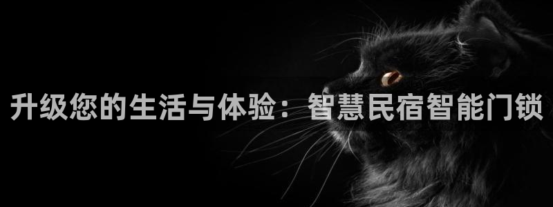 香港利记集团官网：升级您的生活与体验：智慧民宿智能门锁
