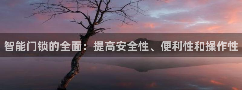 利记官网app下载网址日博官网网址：智能门锁的全面：提高安全
