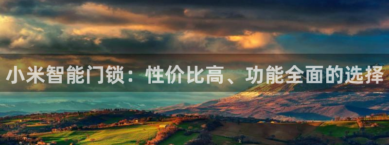 利记官网加盟：小米智能门锁：性价比高、功能全面的选择