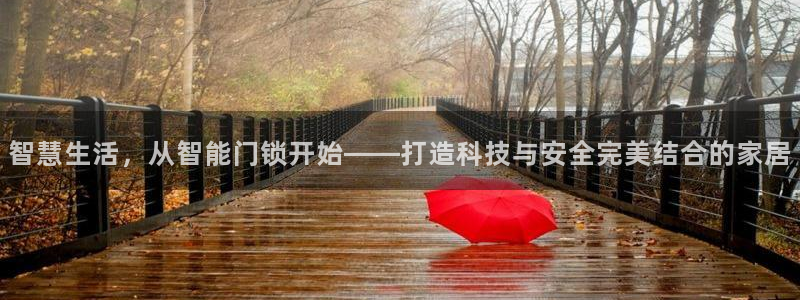 利记sbobet官网电脑版：智慧生活，从智能门锁开始——打造