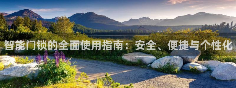 利记官网多少：智能门锁的全面使用指南：安全、便捷与个性化