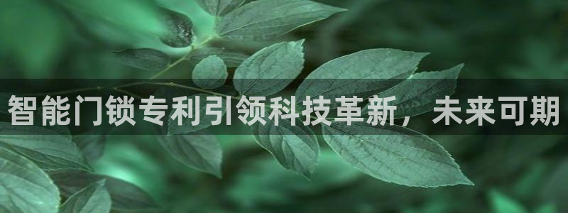 香港利记集团官网招聘：智能门锁专利引领科技革新，未来可期