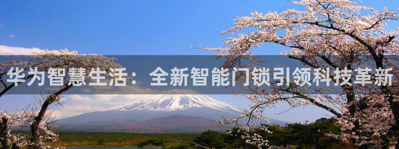 利记88官网app：华为智慧生活：全新智能门锁引领科技革新