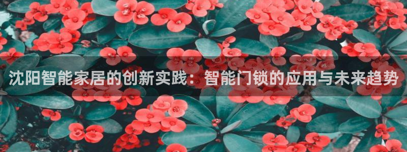 利记官网地址：沈阳智能家居的创新实践：智能门锁的应用与未来趋