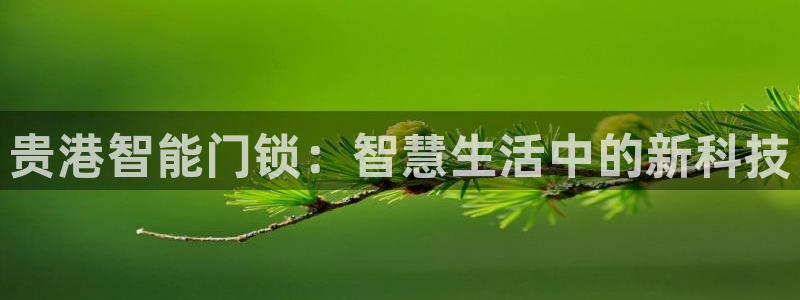 利记 官网：贵港智能门锁：智慧生活中的新科技