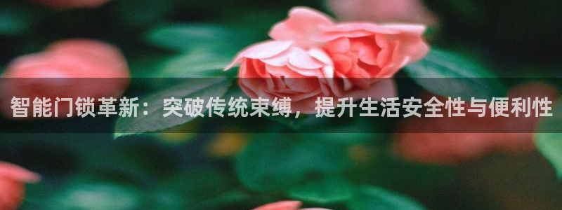 利记官网app下载：智能门锁革新：突破传统束缚，提升生活安全