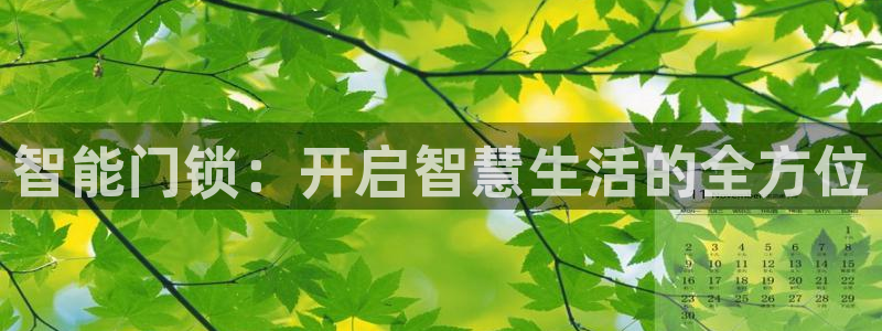 利记官网行业领导者：智能门锁：开启智慧生活的全方位