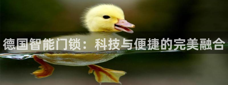 利记官网日亚运比：德国智能门锁：科技与便捷的完美融合