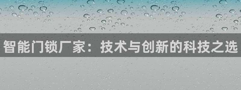 万利记菜单价格查询官网：智能门锁厂家：技术与创新的科技之选
