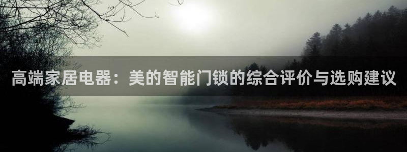 利记平台官网首页：高端家居电器：美的智能门锁的综合评价与选购