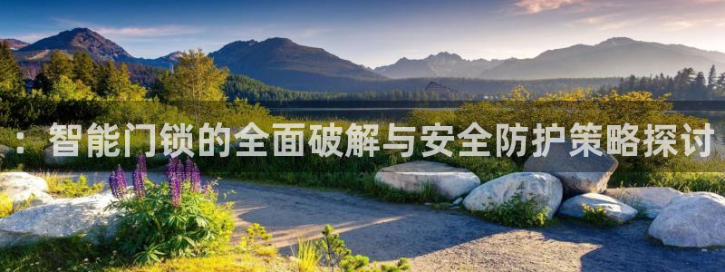 利记官网平台入口：：智能门锁的全面破解与安全防护策略探讨