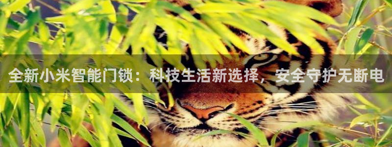 利记app官方官网登录：全新小米智能门锁：科技生活新选择，安