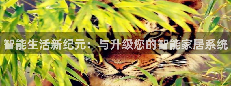 利记官网备用网址：智能生活新纪元：与升级您的智能家居系统