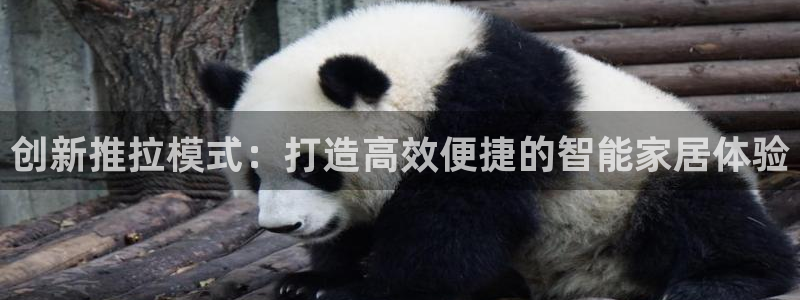 sbo利记体育官网注册：创新推拉模式：打造高效便捷的智能家居