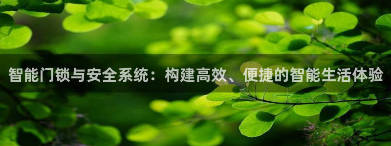 利记官网地址：智能门锁与安全系统：构建高效、便捷的智能生活体