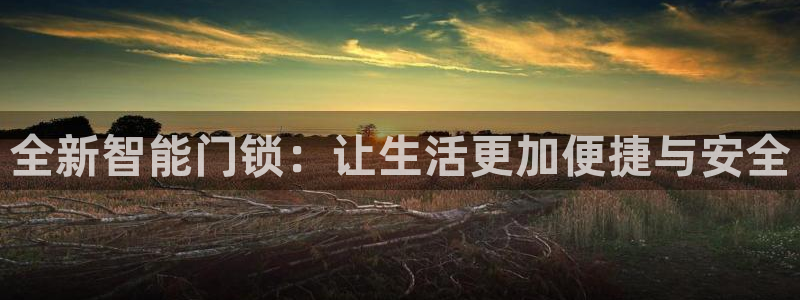 利记官网会员登录：全新智能门锁：让生活更加便捷与安全
