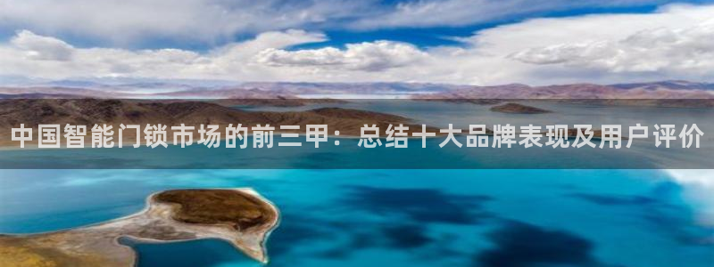 香港利记集团官网：中国智能门锁市场的前三甲：总结十大品牌表现