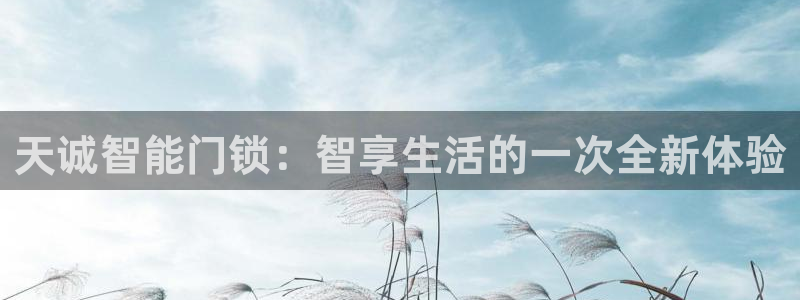 香港利记集团官网旗舰店：天诚智能门锁：智享生活的一次全新体验