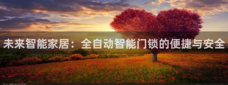 利记官网官方网站：未来智能家居：全自动智能门锁的便捷与安全