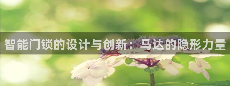 利记亚洲官网：智能门锁的设计与创新：马达的隐形力量