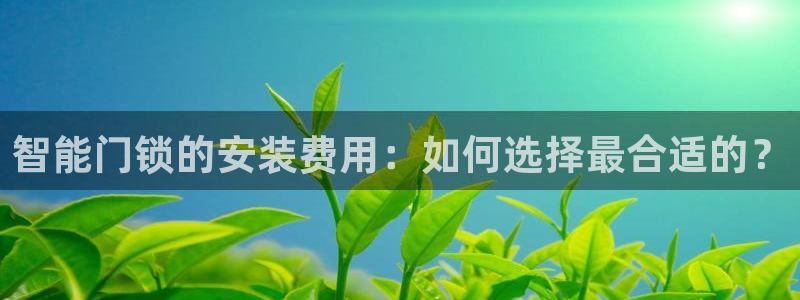 利记手机官网电子mg官方网站：智能门锁的安装费用：如何选择最