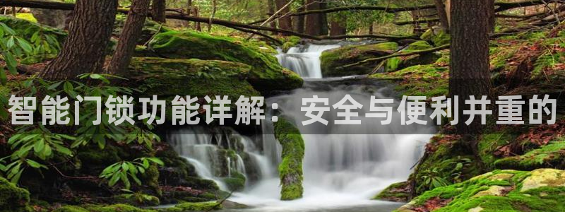 铂利记旗舰店官网：智能门锁功能详解：安全与便利并重的