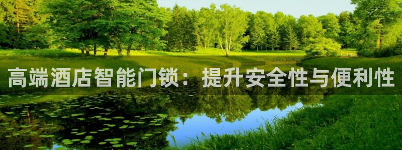 新利记官网：高端酒店智能门锁：提升安全性与便利性