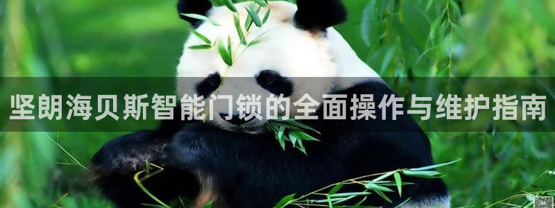 利记坊官网注册账号申请：坚朗海贝斯智能门锁的全面操作与维护指